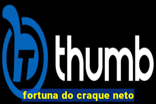 fortuna do craque neto