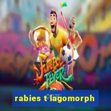 rabies t lagomorph