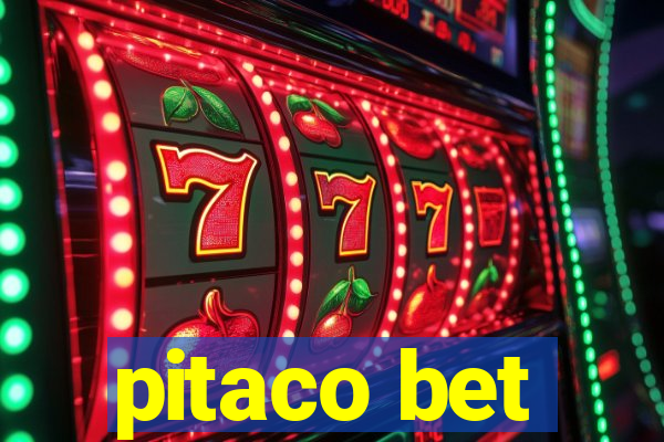 pitaco bet