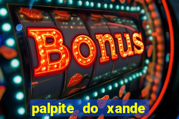 palpite do xande de hoje