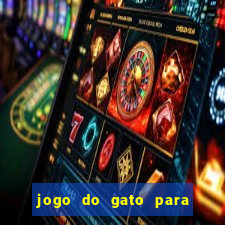 jogo do gato para ganhar dinheiro