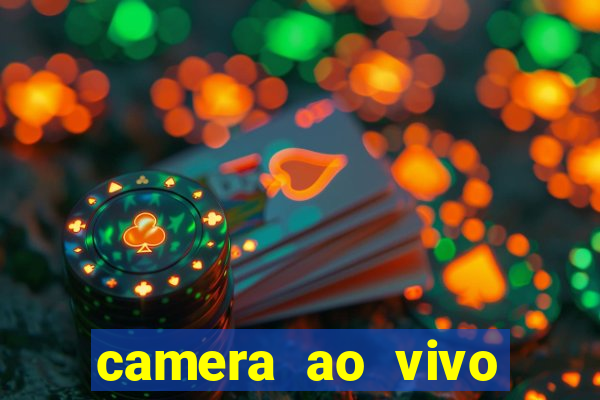 camera ao vivo terminal vila nova cachoeirinha