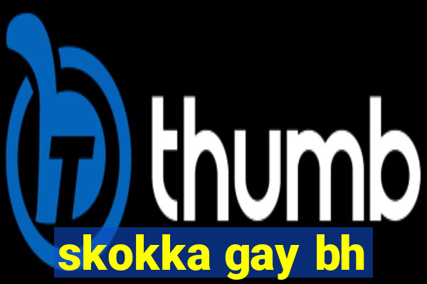 skokka gay bh