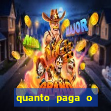 quanto paga o jungle fight