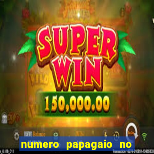 numero papagaio no jogo do bicho