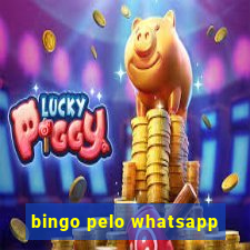 bingo pelo whatsapp