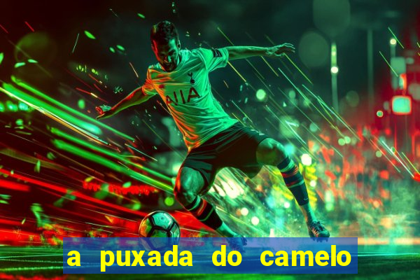 a puxada do camelo no jogo do bicho