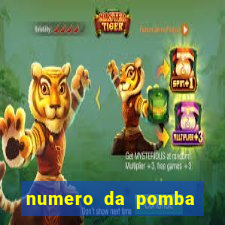 numero da pomba jogo do bicho