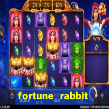 fortune rabbit melhor horário