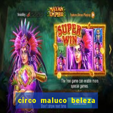 circo maluco beleza recife circo maluco