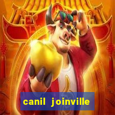 canil joinville vila nova