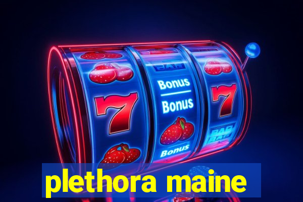 plethora maine