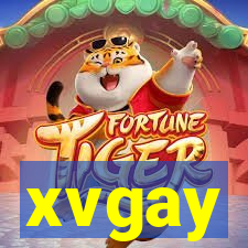 xvgay