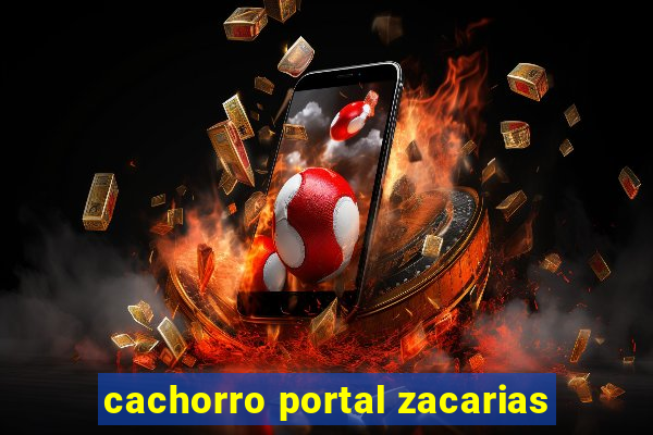 cachorro portal zacarias