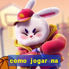 como jogar na seninha online