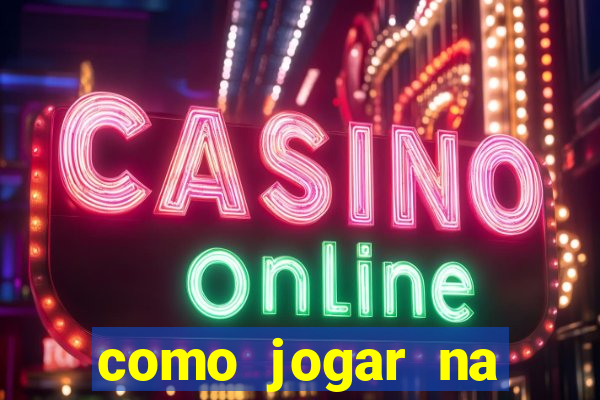 como jogar na seninha online