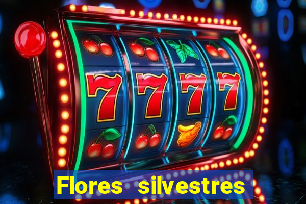 Flores silvestres brasileiras 25