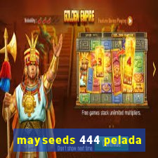 mayseeds 444 pelada