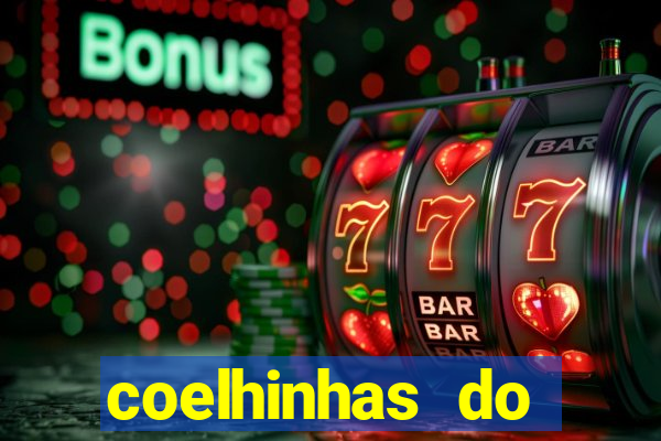 coelhinhas do brasil site