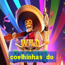 coelhinhas do brasil site