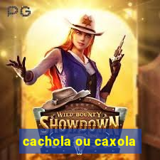 cachola ou caxola