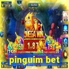 pinguim bet