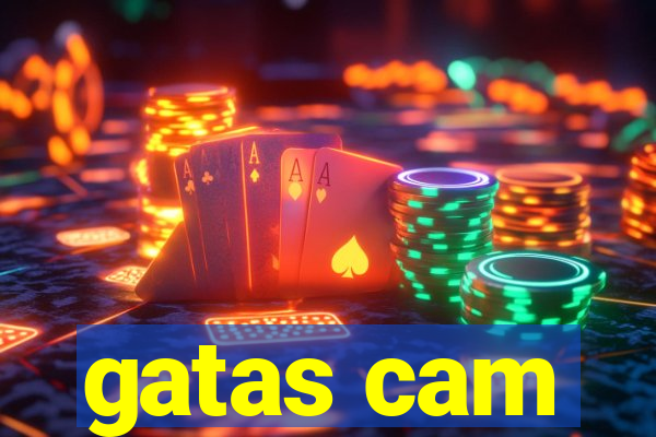 gatas cam