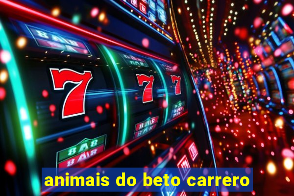 animais do beto carrero