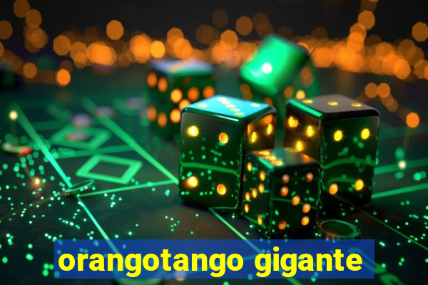 orangotango gigante