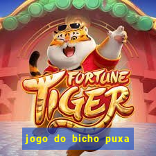 jogo do bicho puxa de dona maria