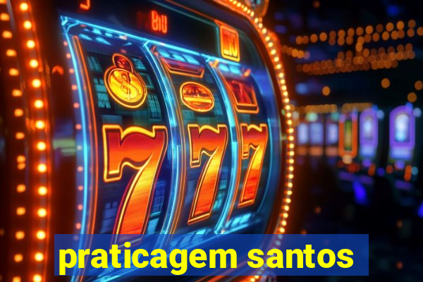 praticagem santos