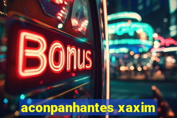 aconpanhantes xaxim