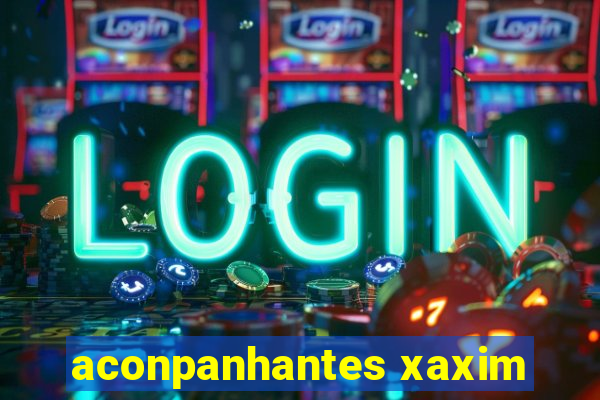 aconpanhantes xaxim