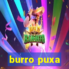 burro puxa