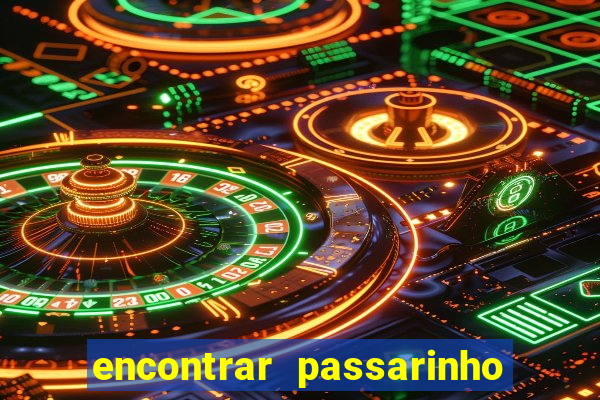 encontrar passarinho morto significado