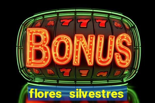 flores silvestres desbravadores desbravadores 25