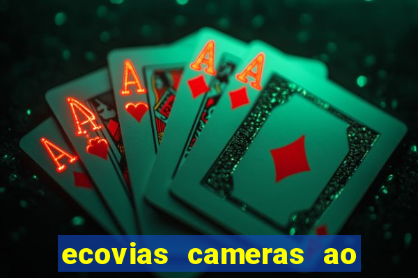 ecovias cameras ao vivo santos