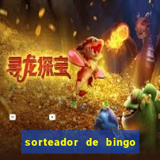 sorteador de bingo 90 bolas online