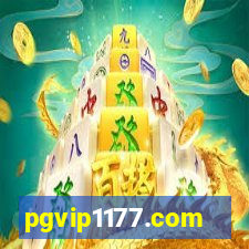 pgvip1177.com