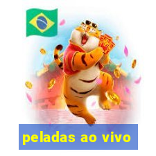 peladas ao vivo