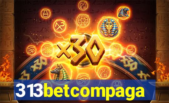 313betcompaga