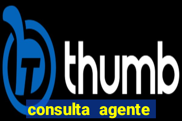 consulta agente autuador sp