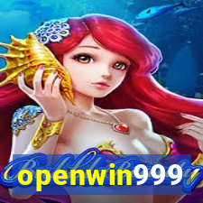 openwin999