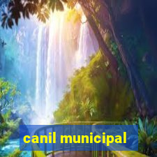 canil municipal