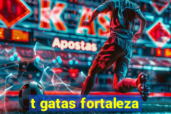 t gatas fortaleza