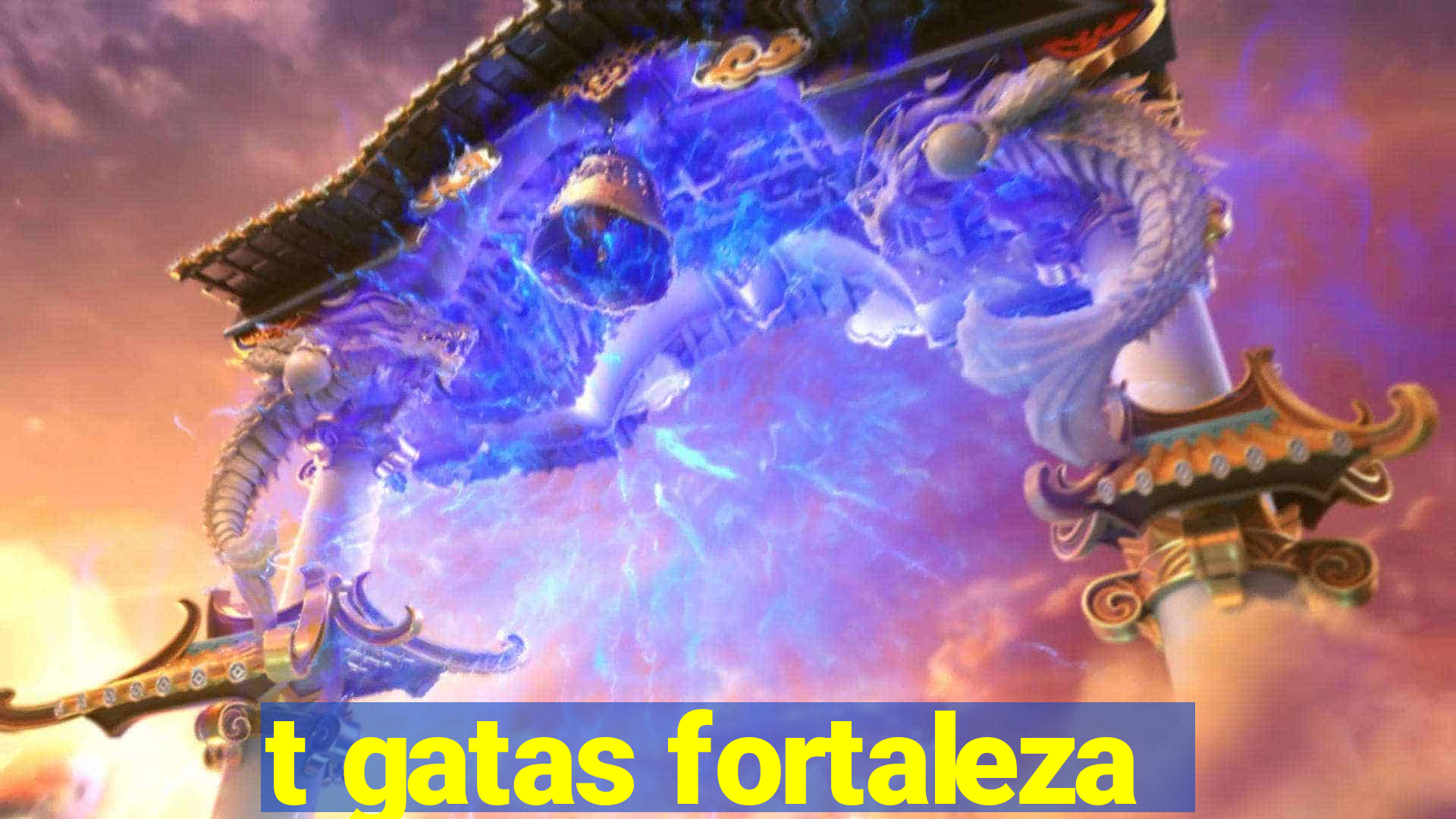 t gatas fortaleza