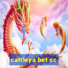 cattleya bet cc