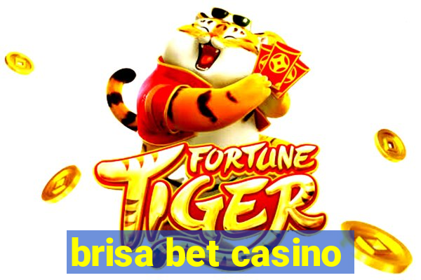 brisa bet casino