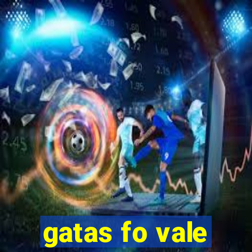 gatas fo vale