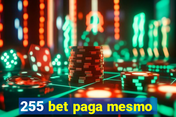 255 bet paga mesmo